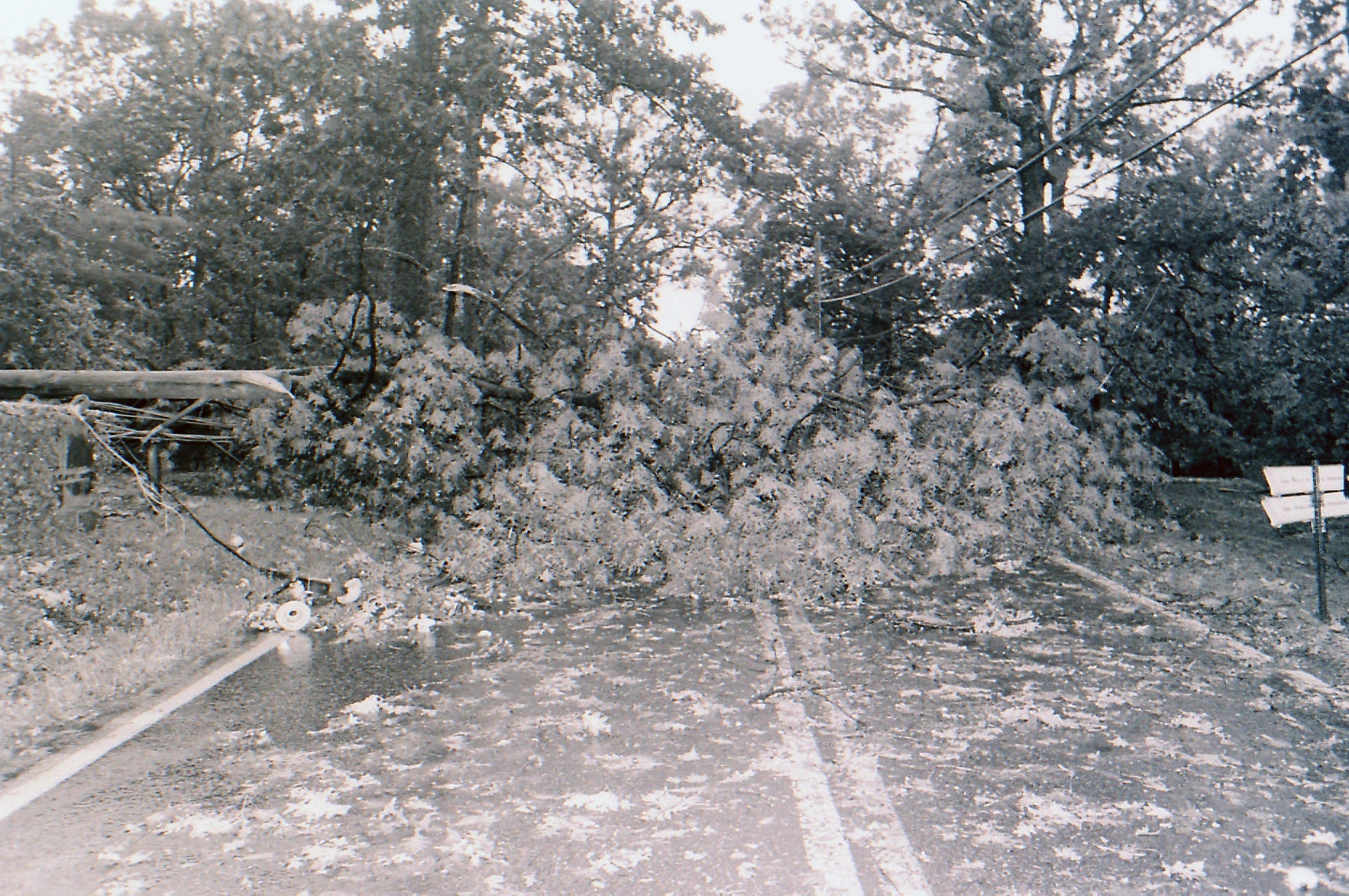 Windstorm of 1993